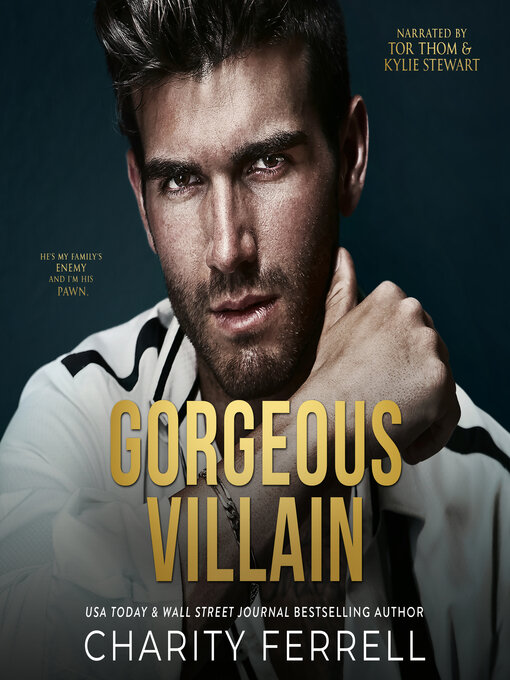 Title details for Gorgeous Villain by Charity Ferrell - Wait list